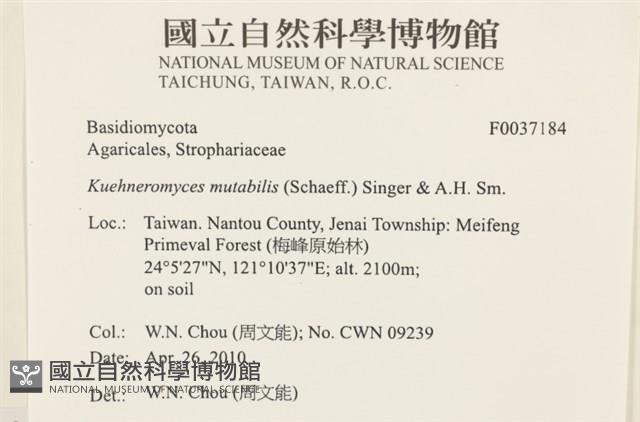 登錄號:F0037184藏品圖，第2張
