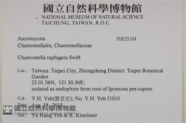 登錄號:F0035184藏品圖，第2張