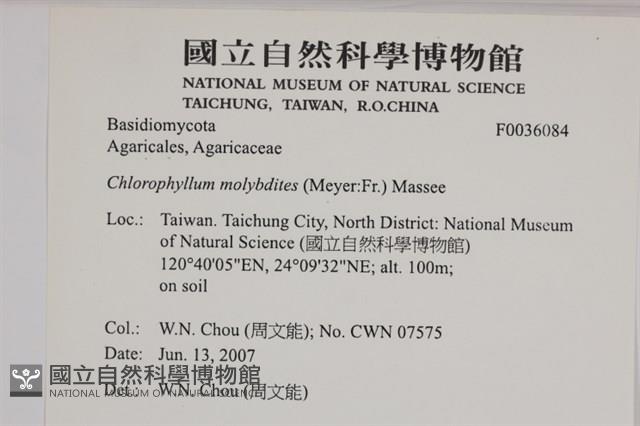 登錄號:F0036084藏品圖，第2張