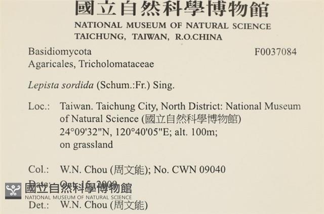 登錄號:F0037084藏品圖，第2張