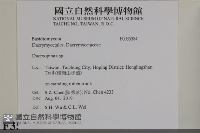 登錄號:F0035384藏品圖，第2張