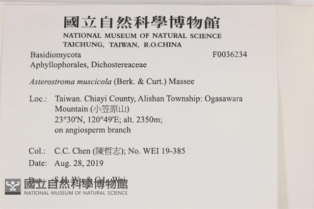 登錄號:F0036234藏品圖，第2張