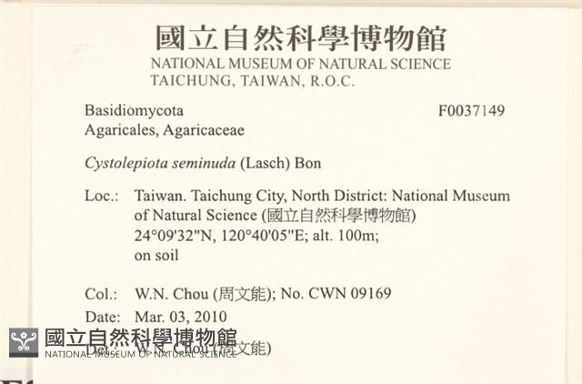 登錄號:F0037234藏品圖，第2張