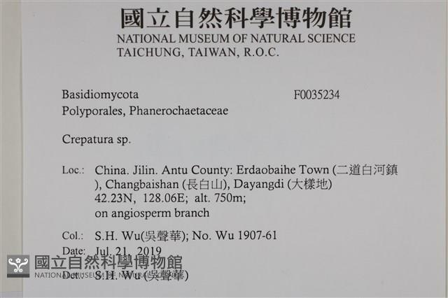 登錄號:F0035234藏品圖，第2張
