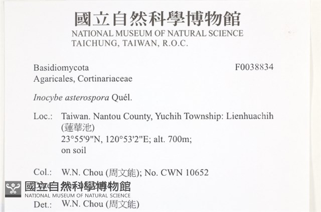 登錄號:F0038834藏品圖，第2張