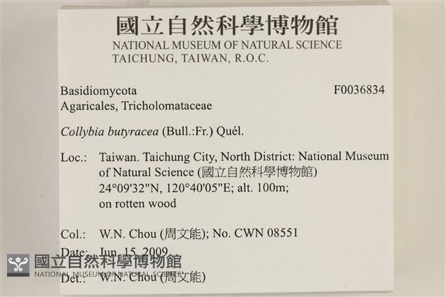 登錄號:F0036834藏品圖，第2張