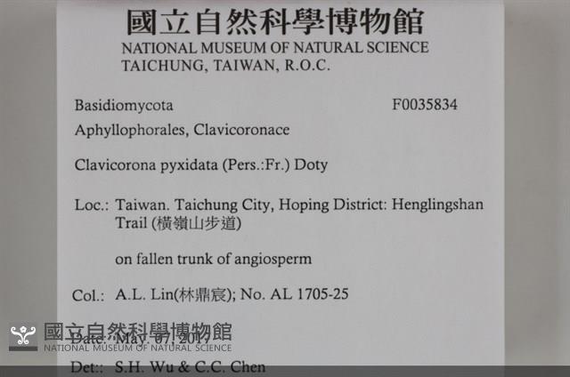 登錄號:F0035834藏品圖，第2張
