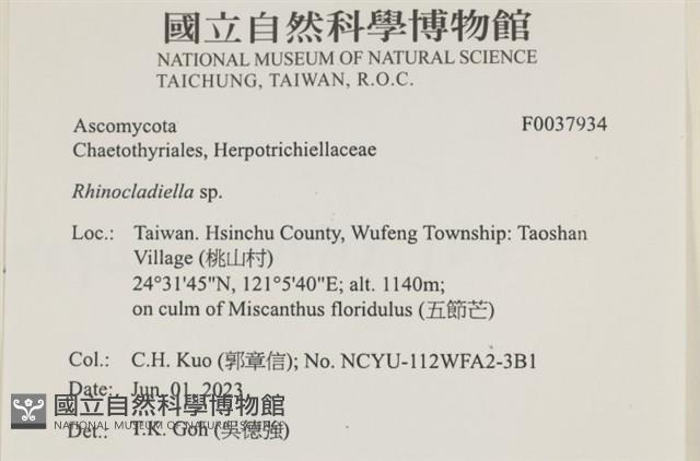 登錄號:F0037934藏品圖，第2張