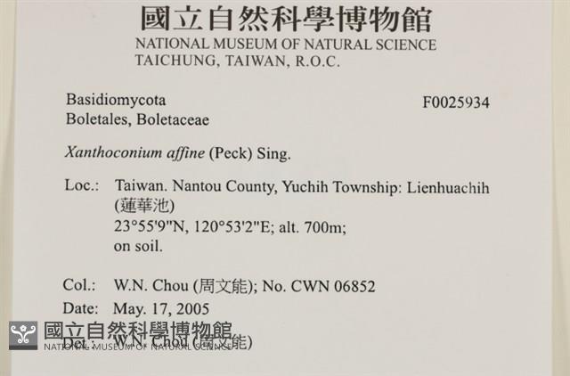 登錄號:F0025934藏品圖，第4張