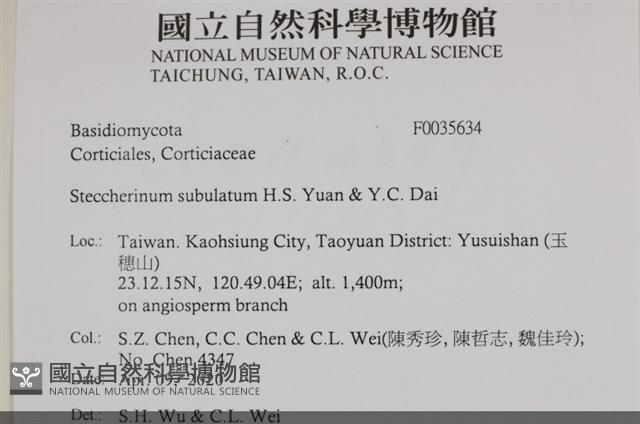 登錄號:F0035634藏品圖，第2張