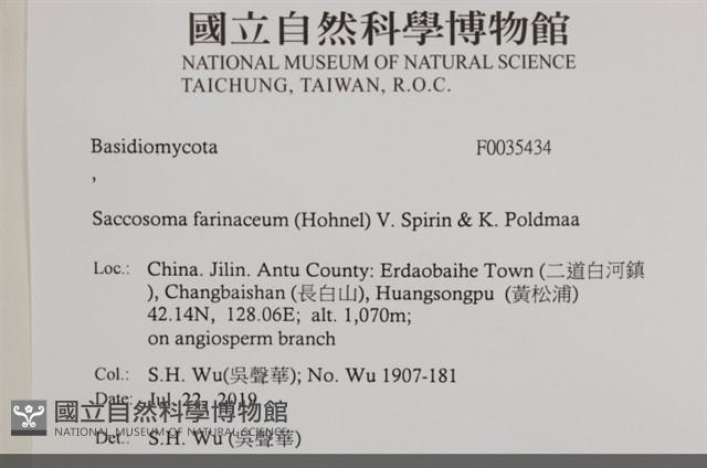 登錄號:F0035434藏品圖，第2張