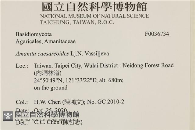 登錄號:F0036734藏品圖，第2張