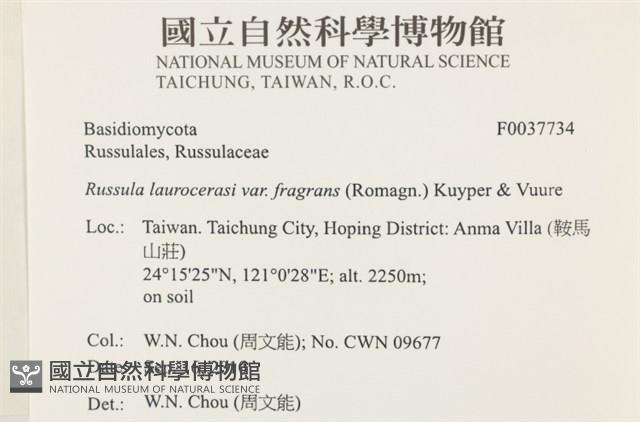 登錄號:F0037734藏品圖，第2張