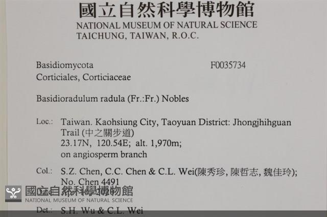 登錄號:F0035734藏品圖，第2張