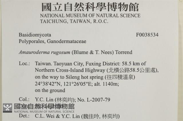 登錄號:F0038534藏品圖，第2張