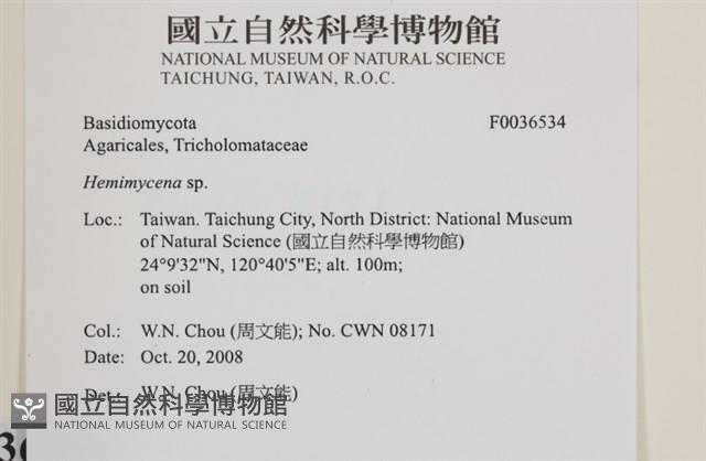 登錄號:F0036534藏品圖，第2張