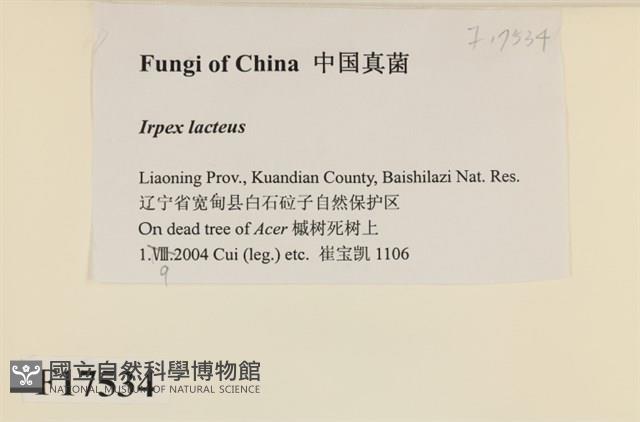 館號:F0017534藏品圖，第2張