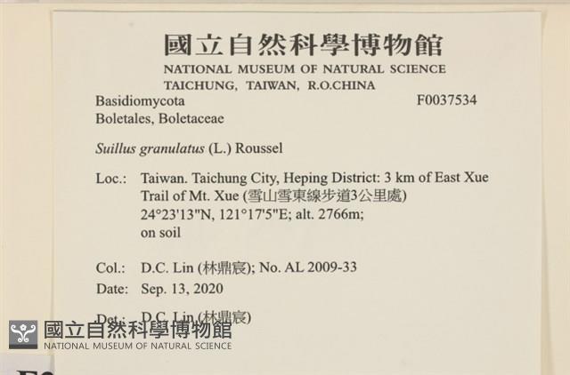 登錄號:F0037534藏品圖，第2張