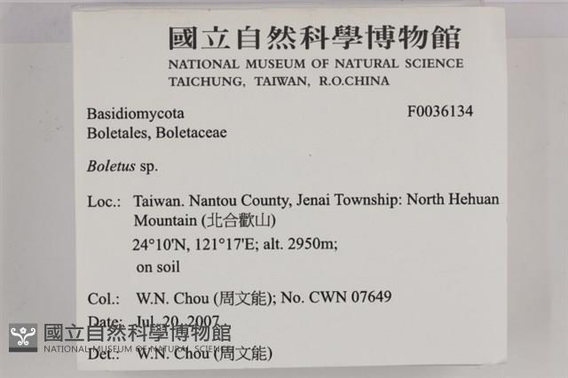 登錄號:F0036134藏品圖，第2張