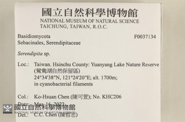 登錄號:F0037134藏品圖，第3張