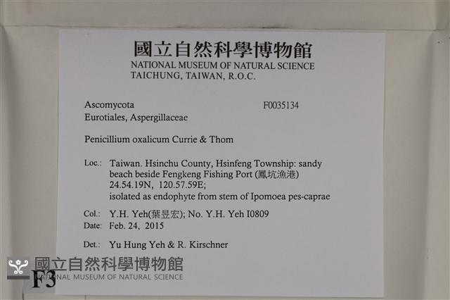 登錄號:F0035134藏品圖，第2張