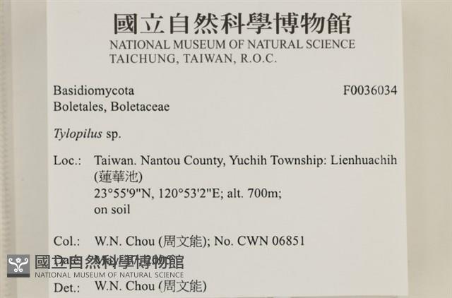 登錄號:F0036034藏品圖，第2張