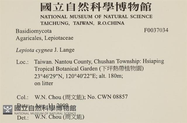 登錄號:F0037034藏品圖，第2張