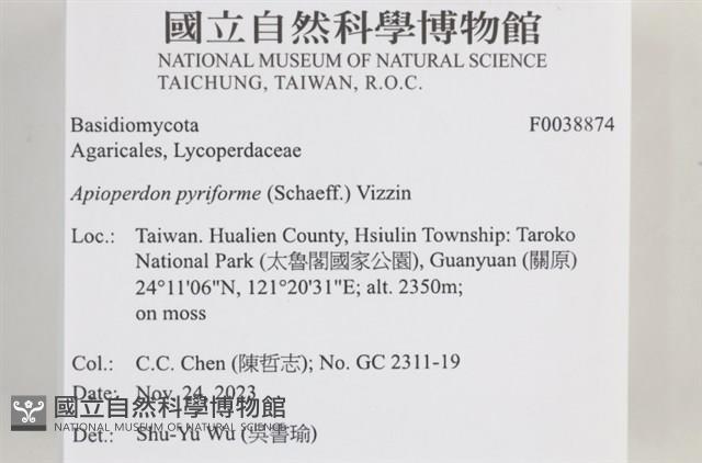 登錄號:F0038874藏品圖，第2張