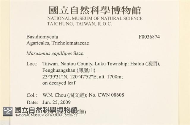 登錄號:F0036874藏品圖，第2張