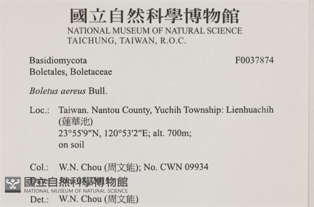 登錄號:F0037874藏品圖，第2張