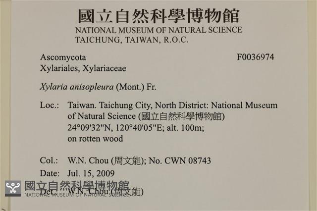 登錄號:F0036974藏品圖，第2張