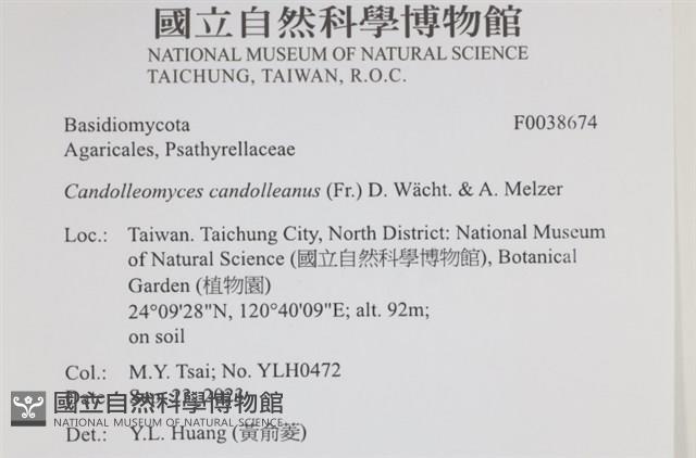 登錄號:F0038674藏品圖，第2張