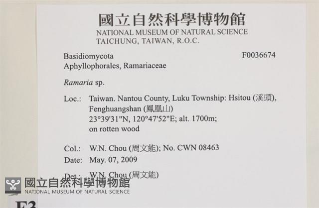 登錄號:F0036674藏品圖，第2張