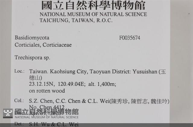 登錄號:F0035674藏品圖，第3張