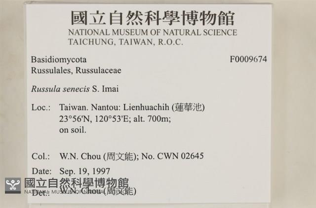 登錄號:F0009674藏品圖，第6張