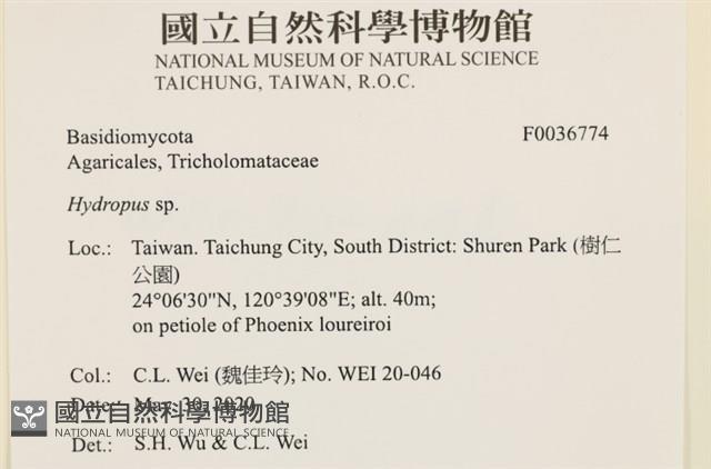 登錄號:F0036774藏品圖，第2張