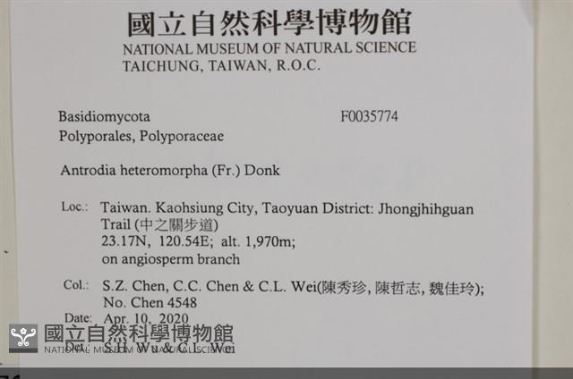 登錄號:F0035774藏品圖，第2張