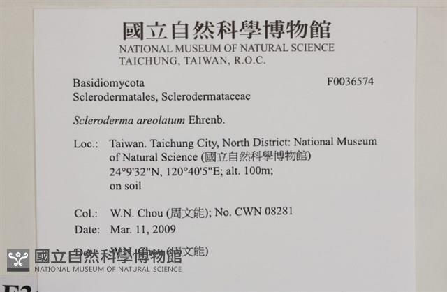 登錄號:F0036574藏品圖，第2張