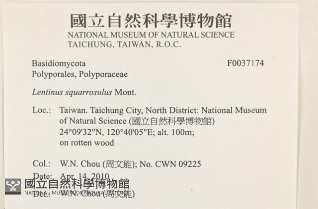 登錄號:F0037174藏品圖，第2張