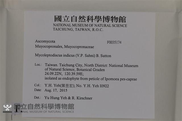 登錄號:F0035174藏品圖，第2張