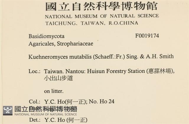 登錄號:F0019174藏品圖，第2張