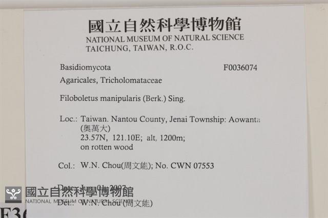 登錄號:F0036074藏品圖，第2張