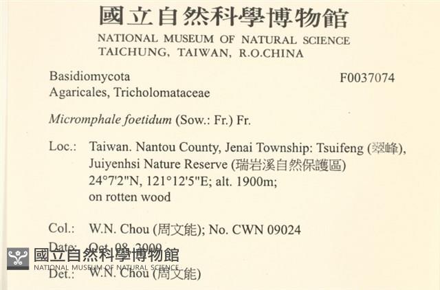 登錄號:F0037074藏品圖，第2張