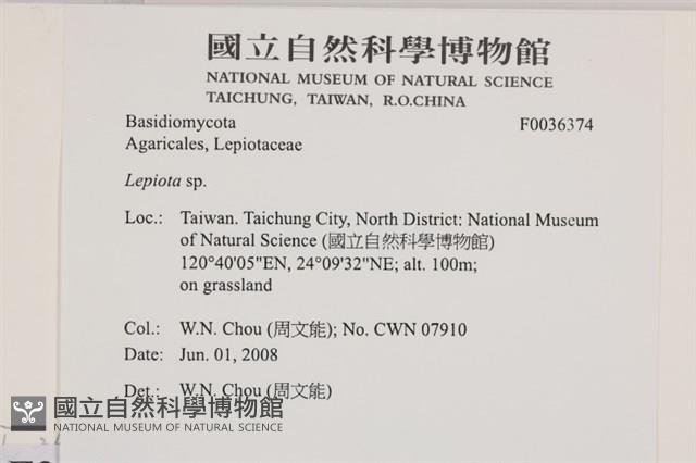 登錄號:F0036374藏品圖，第2張