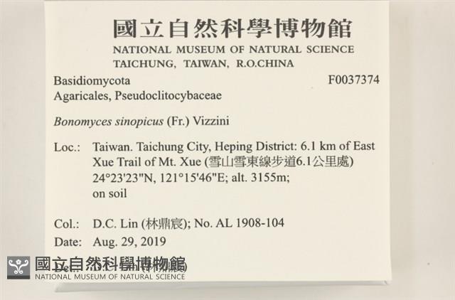 登錄號:F0037374藏品圖，第2張