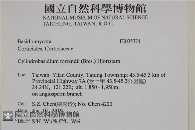 登錄號:F0035374藏品圖，第2張