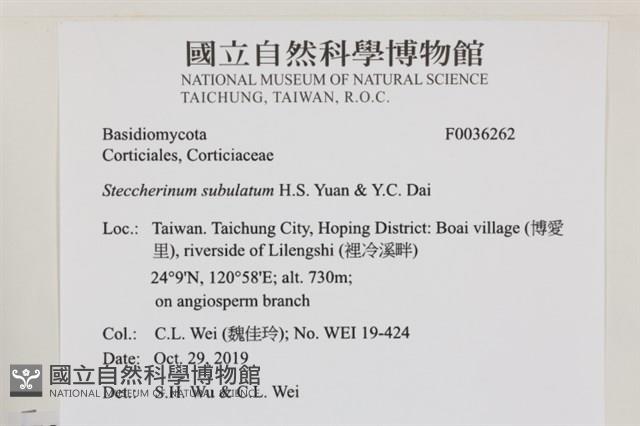 登錄號:F0036262藏品圖，第2張
