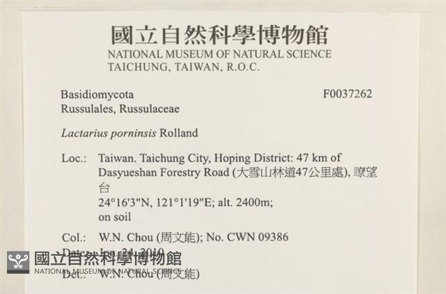登錄號:F0037262藏品圖，第2張