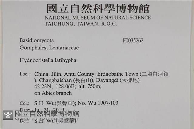登錄號:F0035262藏品圖，第2張