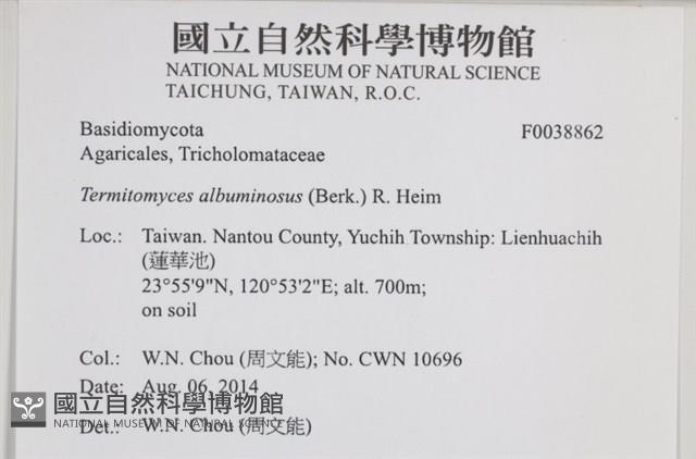 登錄號:F0038862藏品圖，第2張